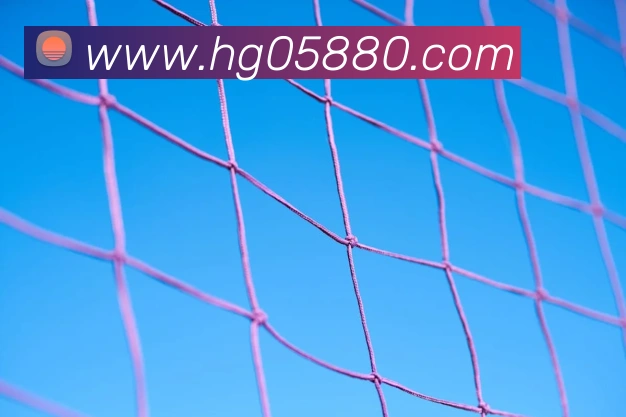 皇冠网官网APP 封面图